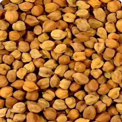 Ethiopian pulses