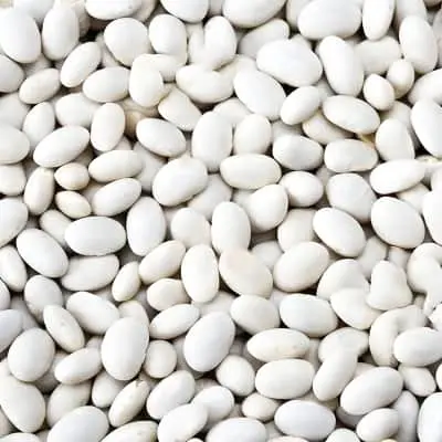 Ethiopian pulses