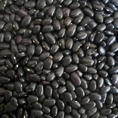 Ethiopian pulses