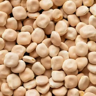 Ethiopian pulses