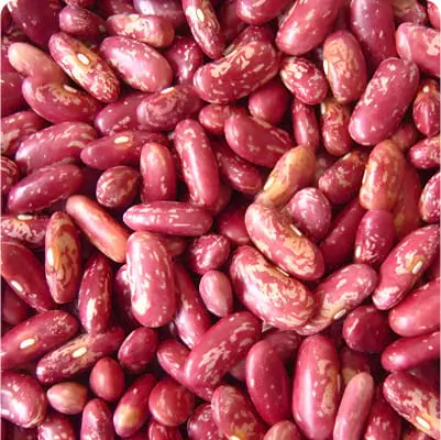 Ethiopian pulses