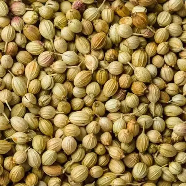 Ethiopian spices